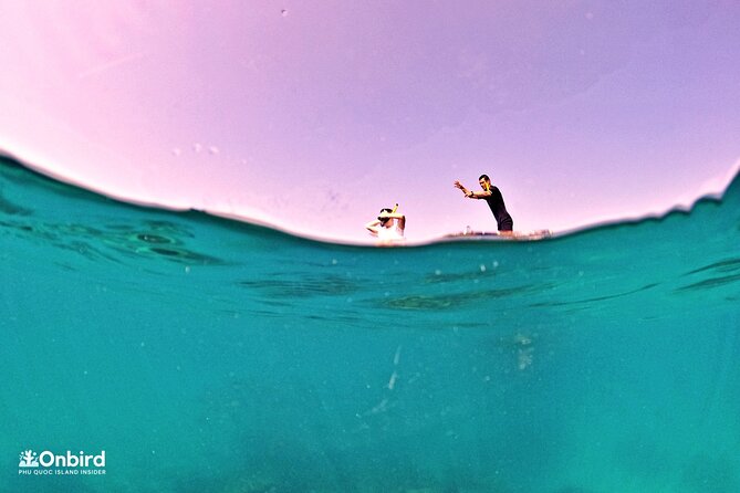 PRO-SNORKELING to Explore Hidden Coral Reefs (MAX 10 PAX) - Two reef sessions, not one rushed swim