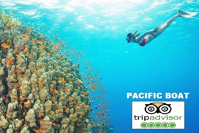 REAL snorkel &island hopping by SPEEDBOAT-EXPLORE CUISINES(MAX12) - Bom Island, Gam Ghi, and the swimming stops