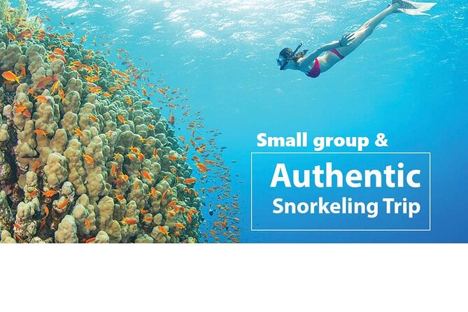 REAL snorkel &island hopping by SPEEDBOAT-EXPLORE CUISINES(MAX12) - Leaving Phu Quoc for An Thoi