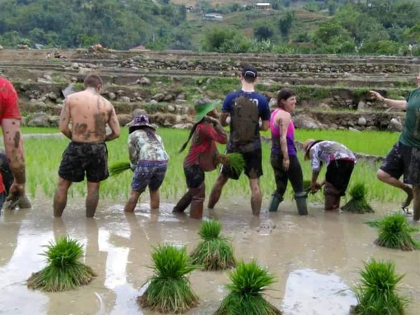 Sa Pa: 2-Day Trekking Trip with Ethnic Minority Homestay - Day two: bamboo forest, Giang Ta Chai, and the river