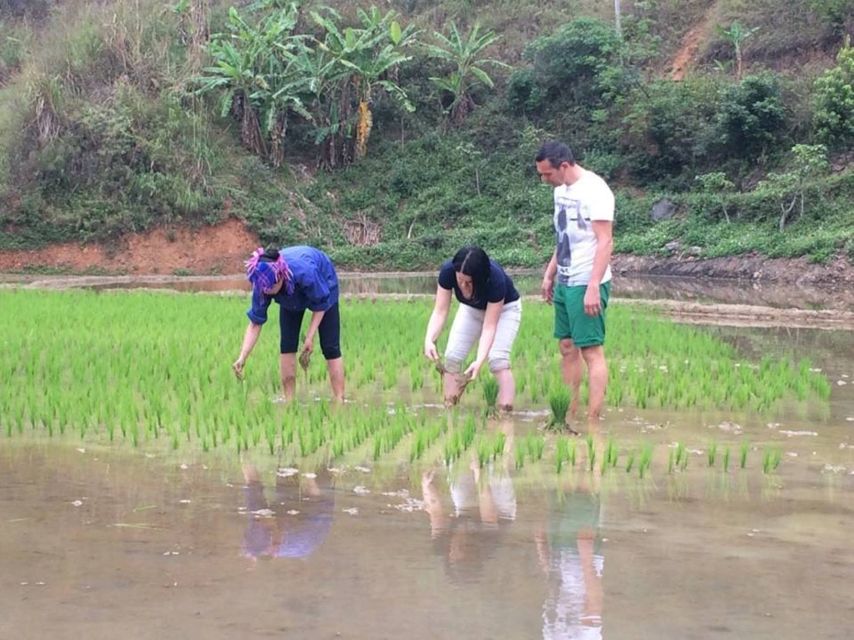 Sa Pa: 6-Hours Muong Hoa Valley Trek with Local Ethnic guide - Why this Sa Pa trek is worth your time