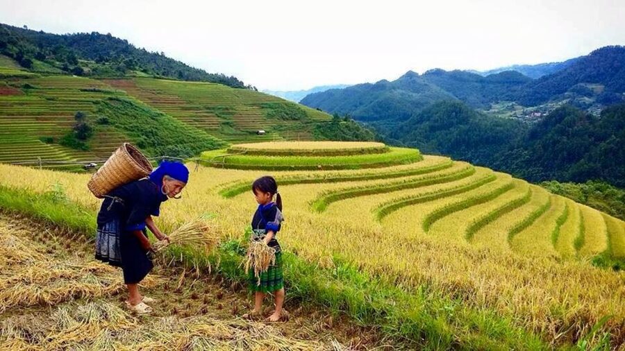 Sa Pa: 6-Hours Muong Hoa Valley Trek with Local Ethnic guide - Leaving Sa Pa for Y Linh Ho