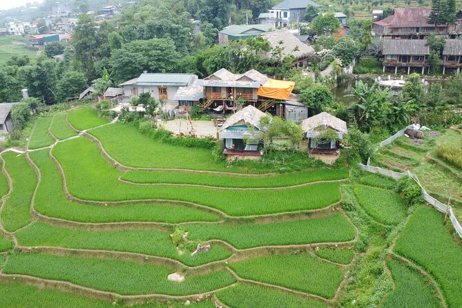 Sa Pa Full Day Trekking Tour - Starting at Sapa Retreat Condotel at 8:00 am