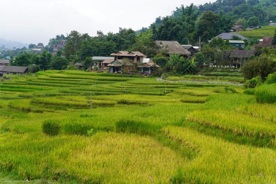 Sa Pa: Half-Day Cat Cat Village Hike to Meet H'mong People - Key points to know before booking