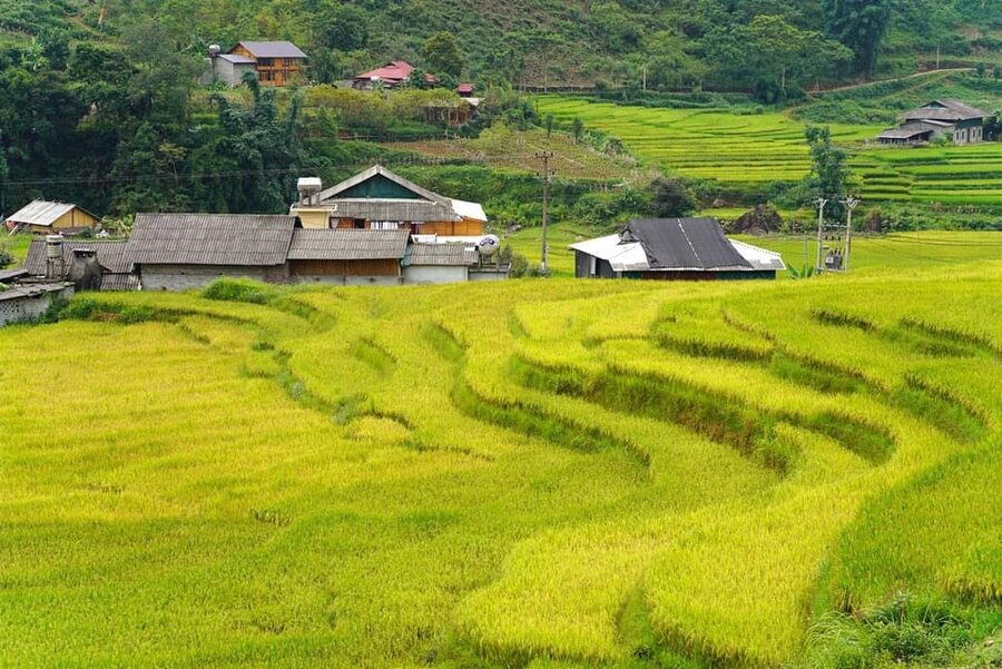 Sa Pa: Half-Day Cat Cat Village Hike to Meet H'mong People - What this Cat Cat Village trip actually offers