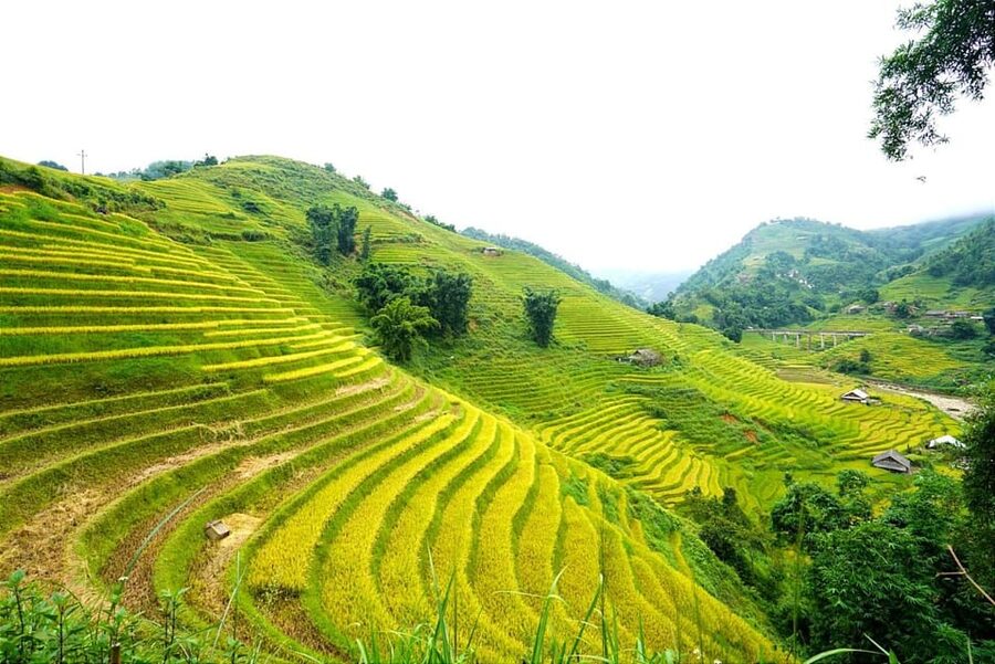 Sa Pa: Half-Day Cat Cat Village Hike to Meet H'mong People - How much value do you get for $17?