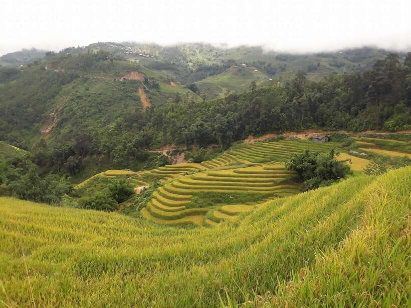 Sa Pa: Muong Hoa Valley Trek and Local Ethnic Villages - Ta Van Giay, the river route, and ancient carvings