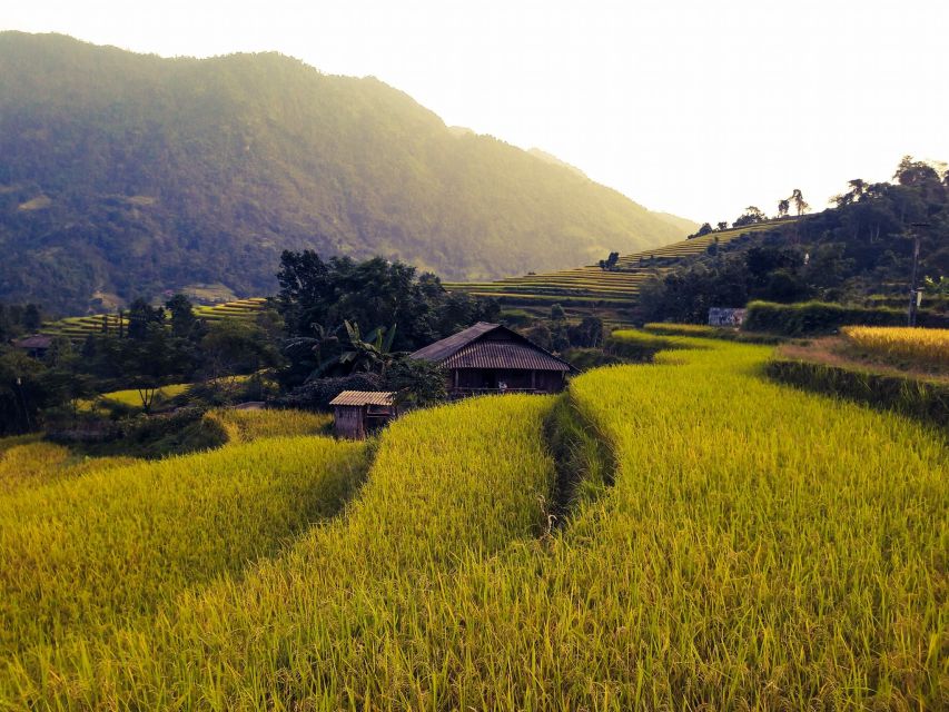 Sa Pa: Muong Hoa Valley Trek and Local Ethnic Villages - Lunch inside a village home