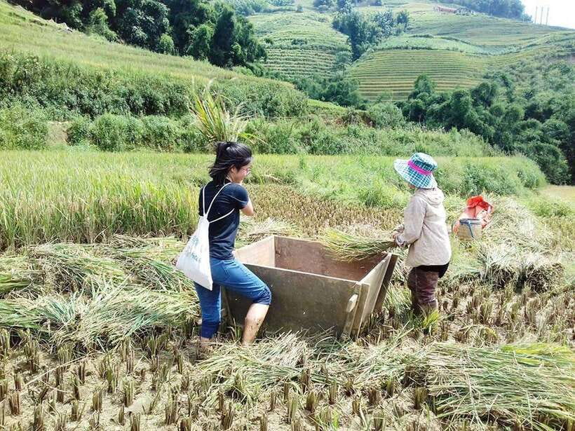 Sa Pa: Muong Hoa Valley Trek and Local Ethnic Villages - Lao Chai and the Black Hmong valley