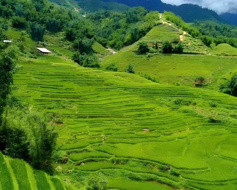 Sapa 1 Day Long Trek: Trek to Hau Thao and Sa Seng Villages - Down through Hang Da Village