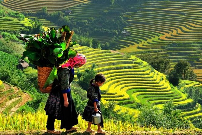Sapa 2 Days 1 Night From Hanoi - Overnight in Hotel - What the guides add to the experience