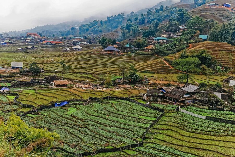 Sapa: 3-Day, 3-Night Trek and Hotel with Overnight Train - Day 1: Sin Chai and the first look at Hmong village life