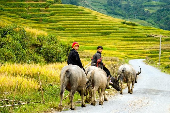 Sapa 3 Days 2 Nights Trekking Tour (1 Night In Ta Van Village, 1 Night In Hotel) - What $139 buys you in practical terms
