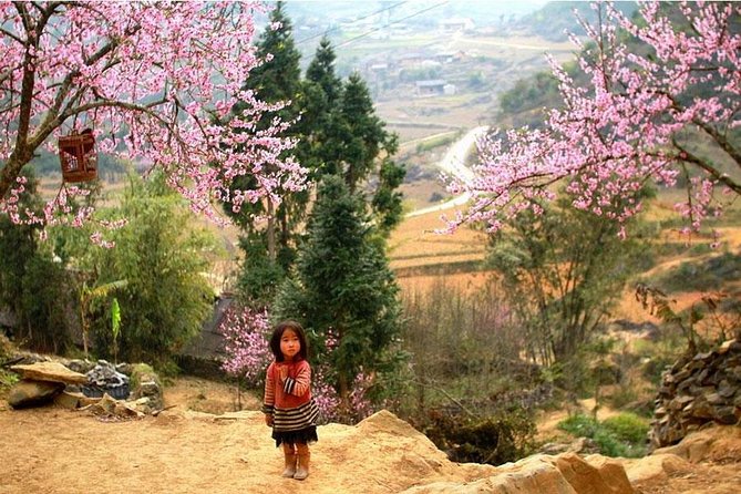Sapa 3 Days 2 Nights Trekking Tour (1 Night In Ta Van Village, 1 Night In Hotel) - The Y Linh Ho route and the long walk to Ta Van