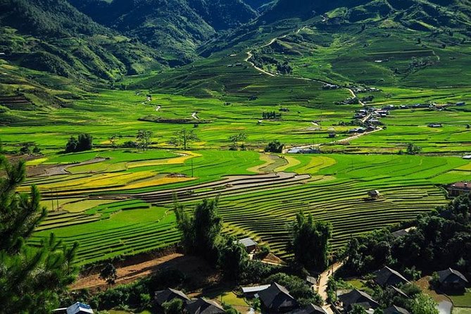 Sapa 3 Days 2 Nights Trekking Tour (1 Night In Ta Van Village, 1 Night In Hotel) - Guides make the biggest difference