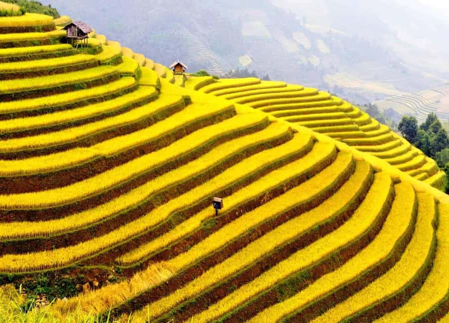 Sapa: Cat Cat Village, Moana, Alpine Coaster, Fansipan Cable - What the price really gets you