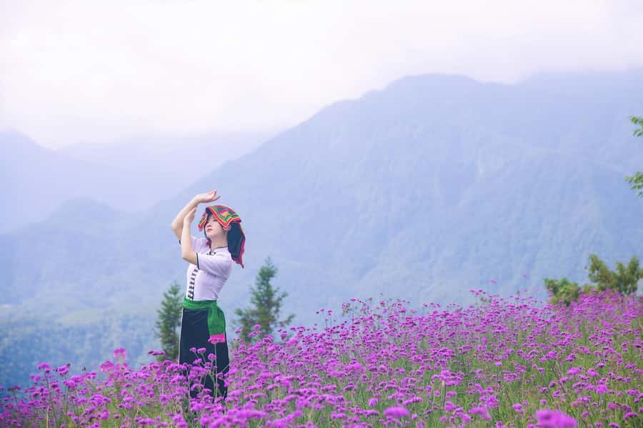Sapa: Cat Cat Village, Moana, Alpine Coaster, Fansipan Cable - Who should choose each version?