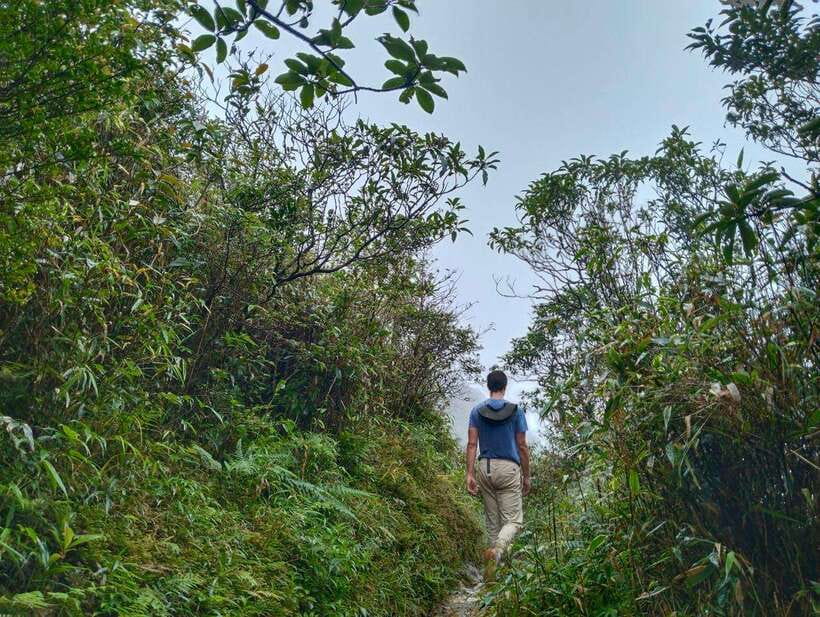 SAPA : Climb up to Fansipan mountain with LOCAL GUIDE - From Tram Ton Pass to the Forest