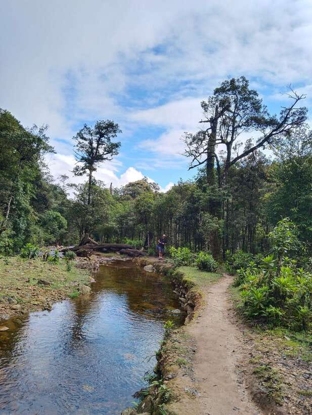 SAPA : Climb up to Fansipan mountain with LOCAL GUIDE - The Descent and the Cable Car Decision