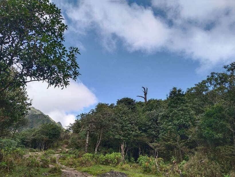 SAPA : Climb up to Fansipan mountain with LOCAL GUIDE - Guide Quality and Cultural Connection