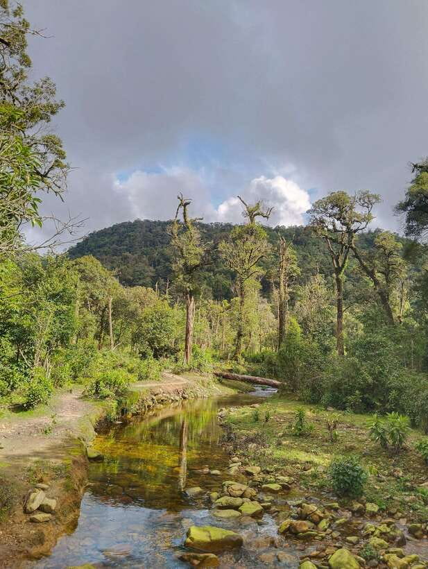 SAPA : Climb up to Fansipan mountain with LOCAL GUIDE - Price, Inclusions, and What You Still Pay