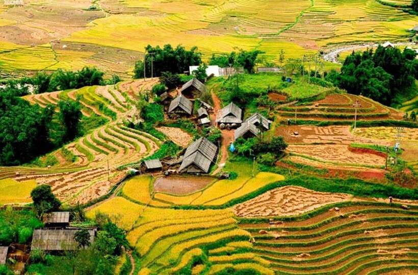 Sapa: Eco Adventure Terrace Fields and Local Villages Trek - Key points to know before you go
