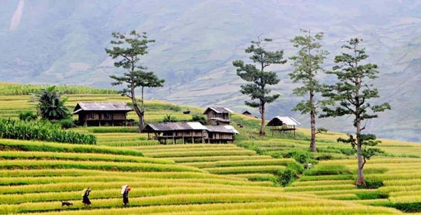 Sapa: Eco Adventure Terrace Fields and Local Villages Trek - Starting at Sapa Church and climbing toward Fansipan