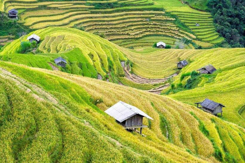 Sapa: Eco Adventure Terrace Fields and Local Villages Trek - How hard is the 10 to 12 kilometer route?