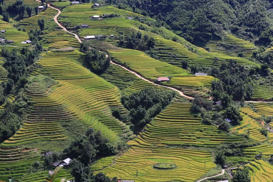 Sapa: Local Exploration on a Guided Motorbike Tour - Who should book this Sapa motorbike tour?