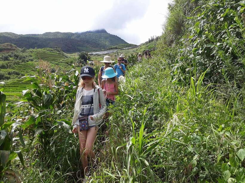 Sapa: Love Silver Waterfall, LonelyTree in Heaven-Rice Field - San Sa Ho gives the tour its human side