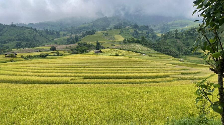 Sapa: Motorbike Tour 1 Day Visit Waterfalls & Local Villages - Love Waterfall in Hoang Lien Son National Park