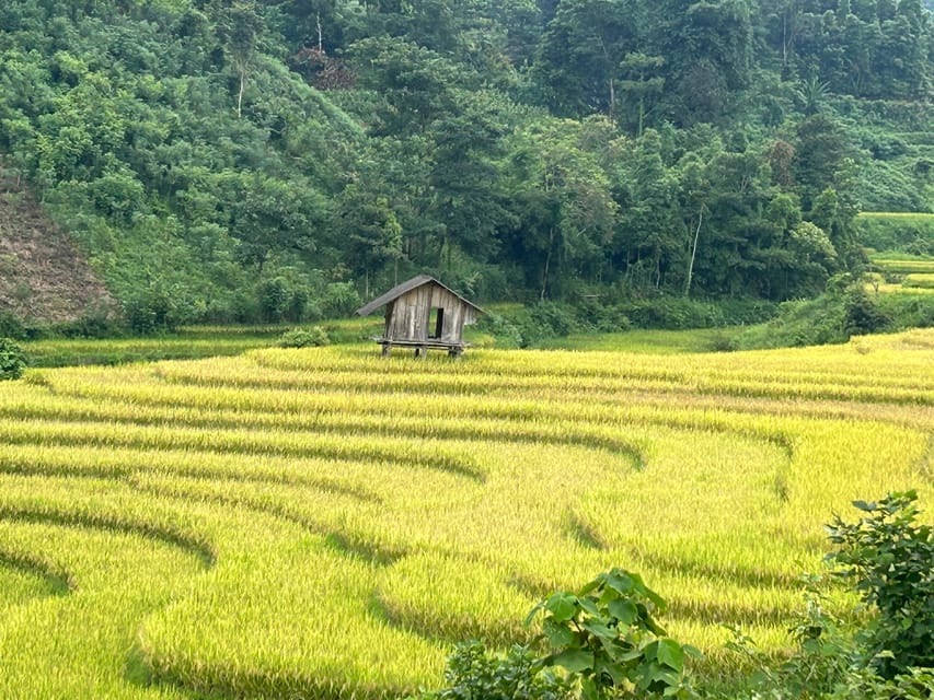 Sapa: Motorbike Tour 1 Day Visit Waterfalls & Local Villages - Lunch beside the stream in Lao Chai