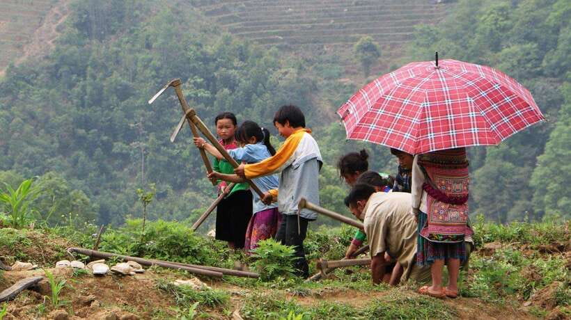 Sapa Trekking Bargains With Local Guide - Why this Sapa walk feels more personal