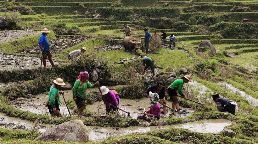Sapa Trekking Bargains With Local Guide - Y Linh Ho: the first long stretch through the valley