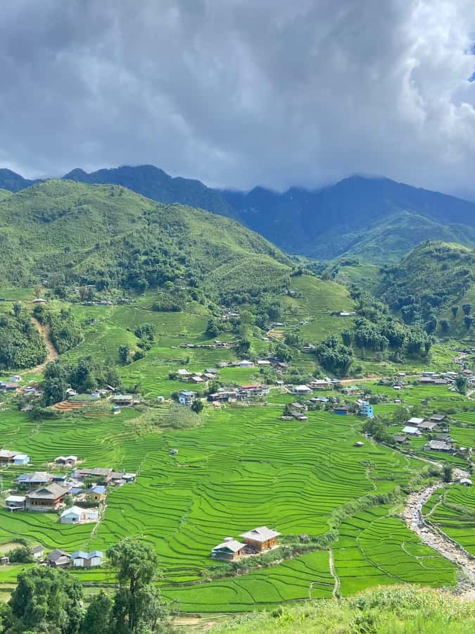 Sapa: Y Linh Ho - Lao Chai, and Ta Van Trekking Day Tour - Key points to know before you book