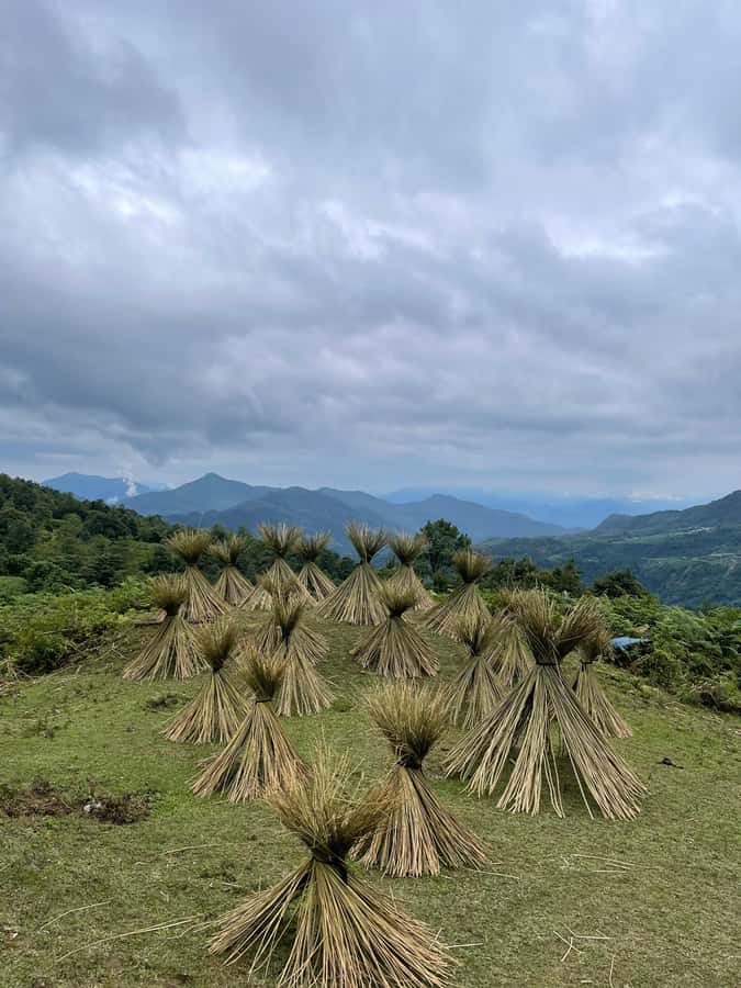 Sapa: Y Linh Ho - Lao Chai, and Ta Van Trekking Day Tour - The descent from Sapa to Y Linh Ho