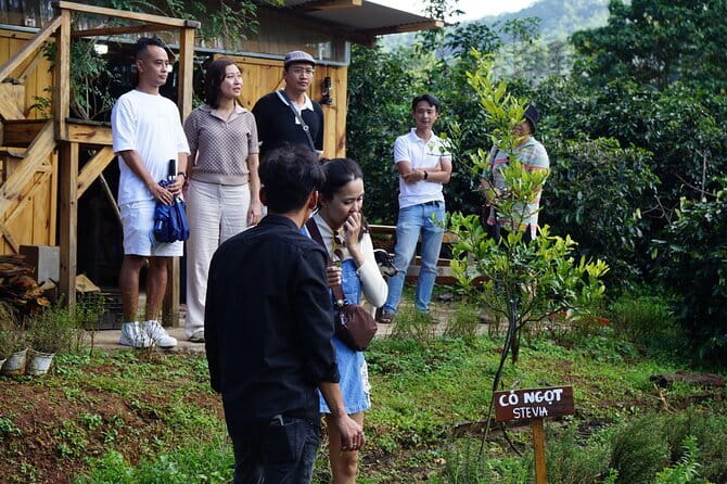 Scented Candle Workshop in Twin Beans Farm Da Lat - Combining the workshop with other farm activities