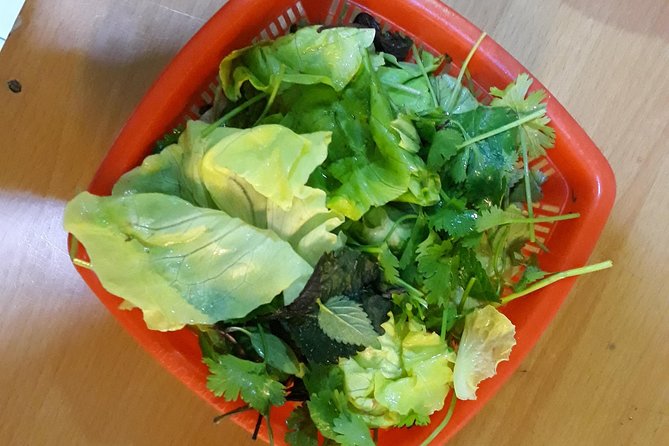 Small Group Hanoi Street Food Tour with a Real Foodie - Vegetarian, vegan, kosher, and gluten-free needs