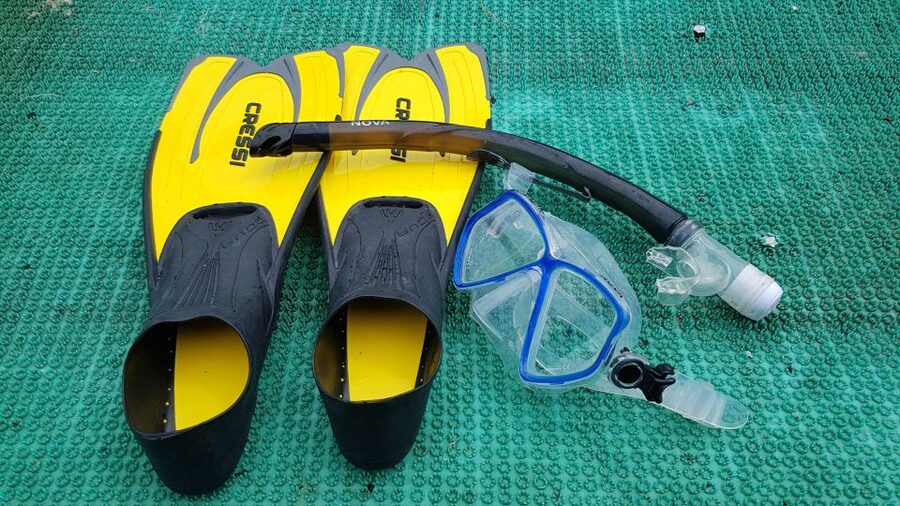 Snorkeling Cham Island: Snorkeling Tour by Speed Boat - Booking flexibility and timing