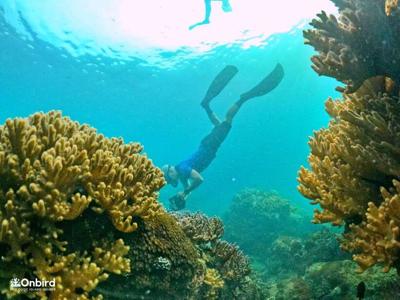 South Phu Quoc: Pro Snorkeling Tour by Speedboat - Why this South Phu Quoc trip is different