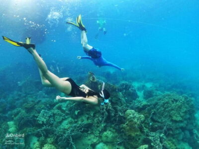 South Phu Quoc: Pro Snorkeling Tour by Speedboat