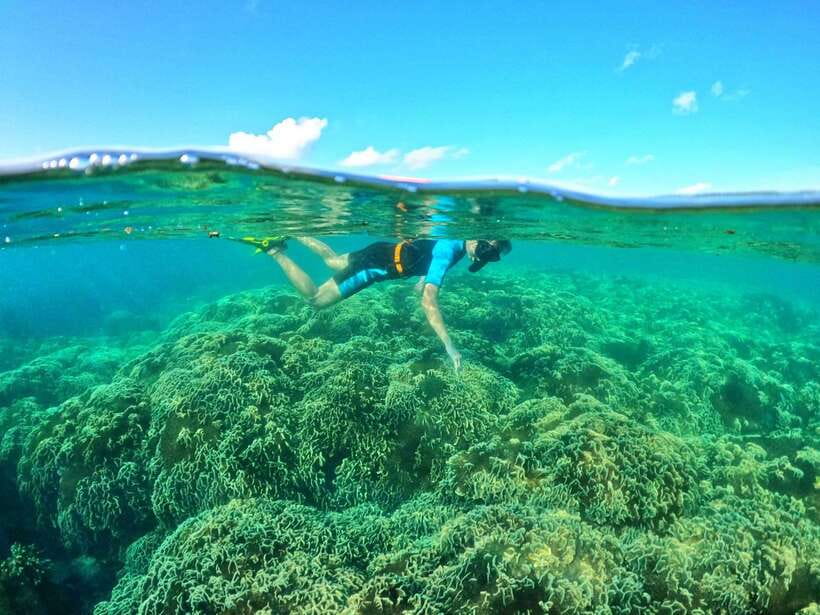 South Phu Quoc: Pro Snorkeling Tour by Speedboat - Two reef sessions with real time to look around