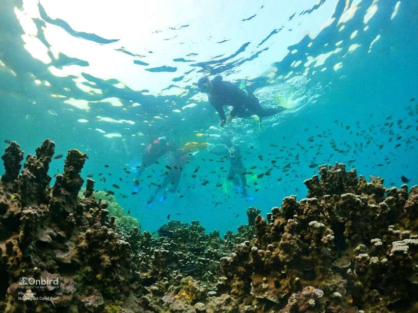 South Phu Quoc: Pro Snorkeling Tour by Speedboat - Conservation is part of the instruction