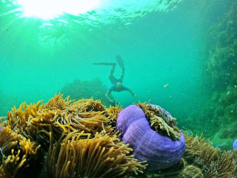 South Phu Quoc: Pro Snorkeling Tour by Speedboat - The island or beach stop afterward
