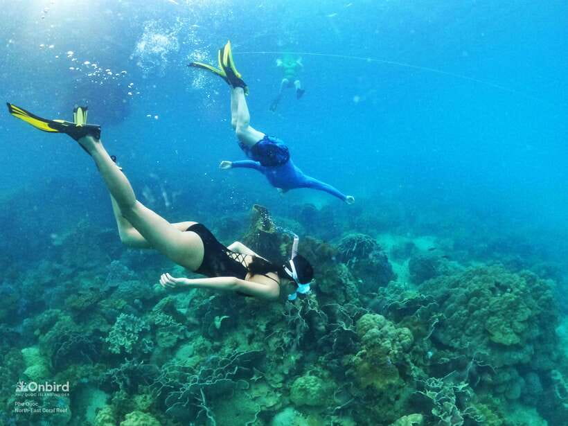 South Phu Quoc: Pro Snorkeling Tour by Speedboat - Pickup, timing, and the speedboat ride