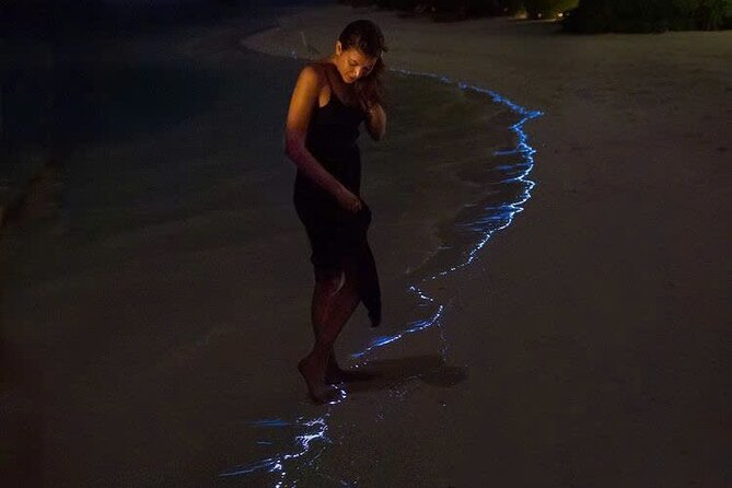 Sunset and Plankton Bioluminescent Night Kayak Lan Ha Bay - Key things to know before booking
