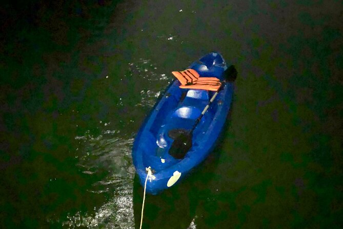 Sunset & Bioluminescent Plankton Kayaking Lan Ha bay - Cai Beo floating village by boat