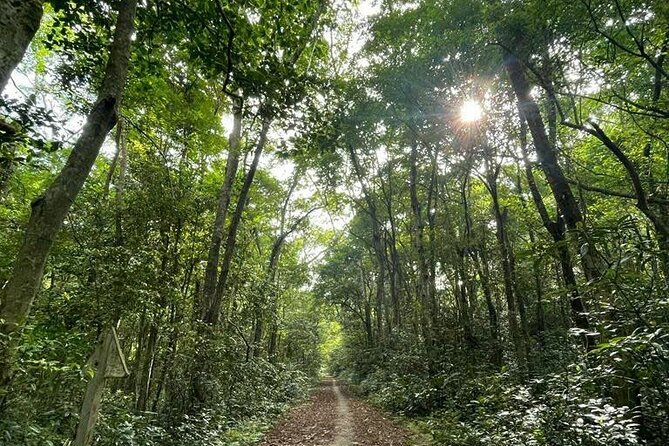 The Hidden Trails of Cat Ba - Navy Peak or a countryside bicycle ride