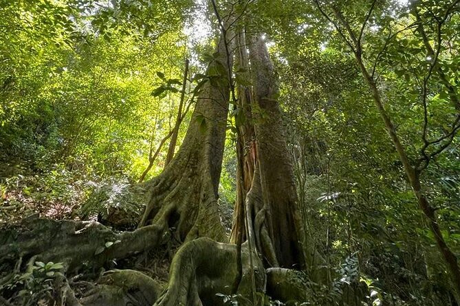 The Hidden Trails of Cat Ba - What the $47 price really covers