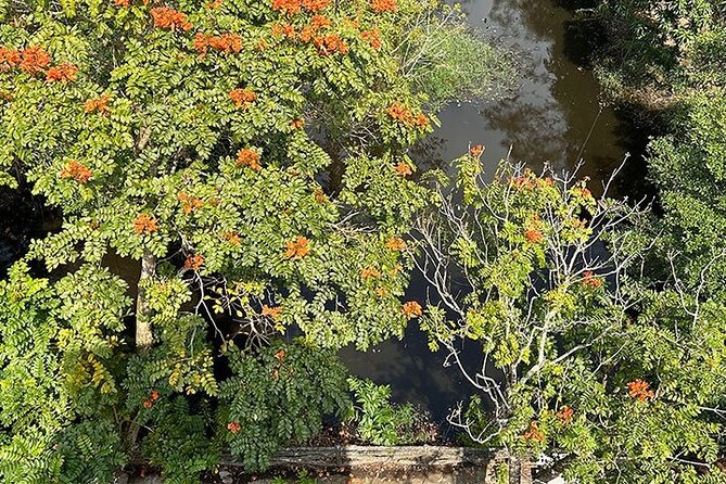 Tour for Nature lover- Lung Ngoc Hoang Nature Reserve in Can Tho - Leaving Can Tho at 2:00 pm